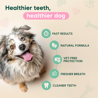 Anti-tartar Spray for dogs &amp; cats