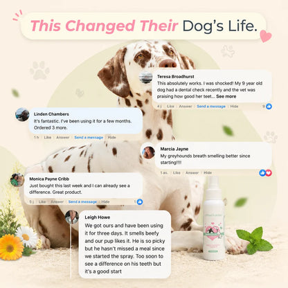 Anti-tartar Spray for dogs &amp; cats
